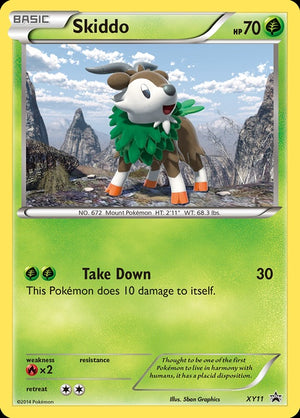 xy11-skiddo