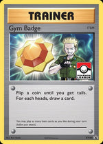 xy205-gymbadge