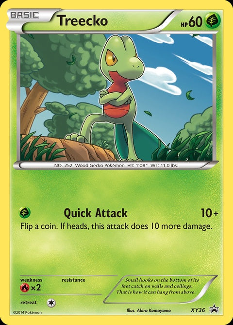xy36-treecko
