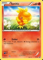 xy37-torchic