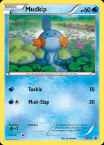 xy38-mudkip