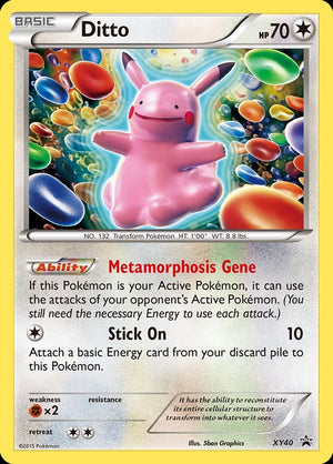 xy40-ditto