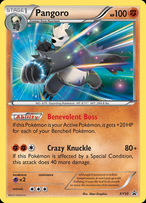 xy50-pangoro