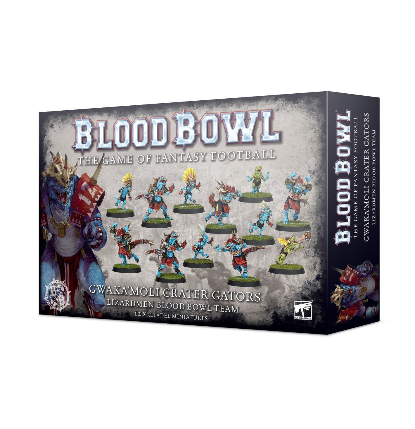 Lizardmen Blood Bowl Team - Gwaka'moli Crater Gators