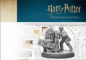 Harry Potter Platform 9 3/4