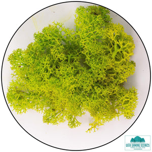 Lichen