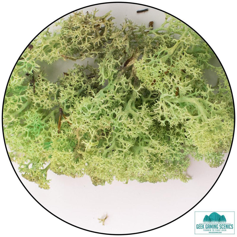 Lichen