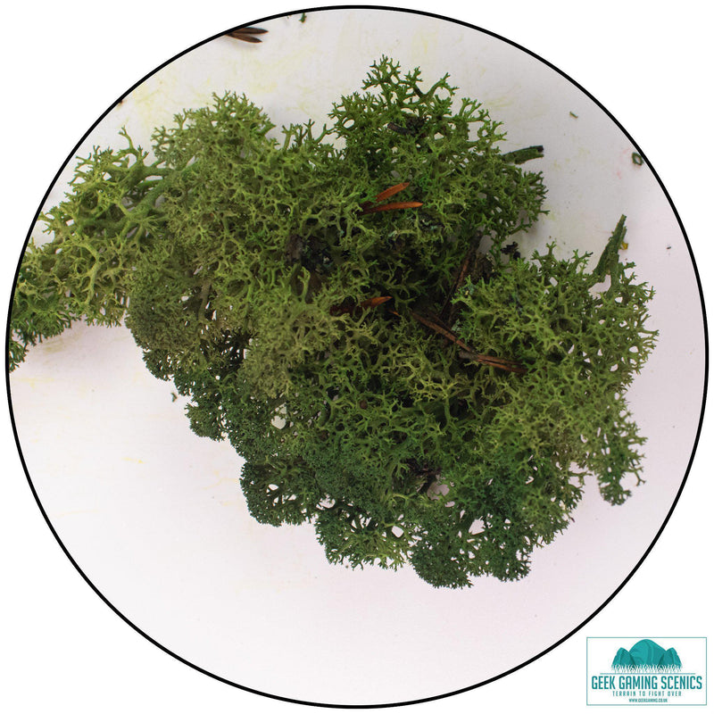 Lichen