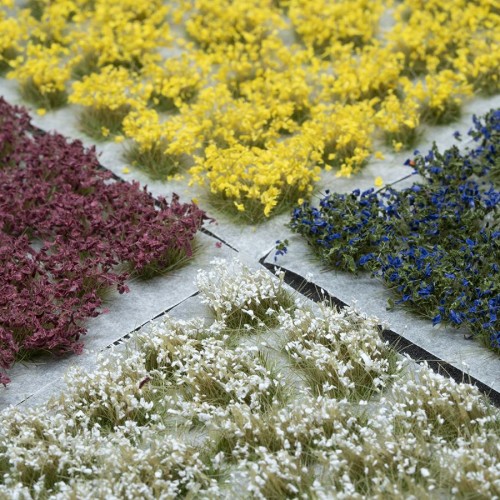 Wild Flowers Set